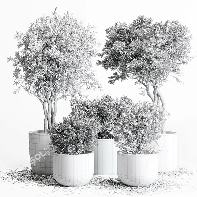 Autumn Vibes: 64 Stone Pots & Dry Tree Indoor/Outdoor Plant Collection 3D model image 6