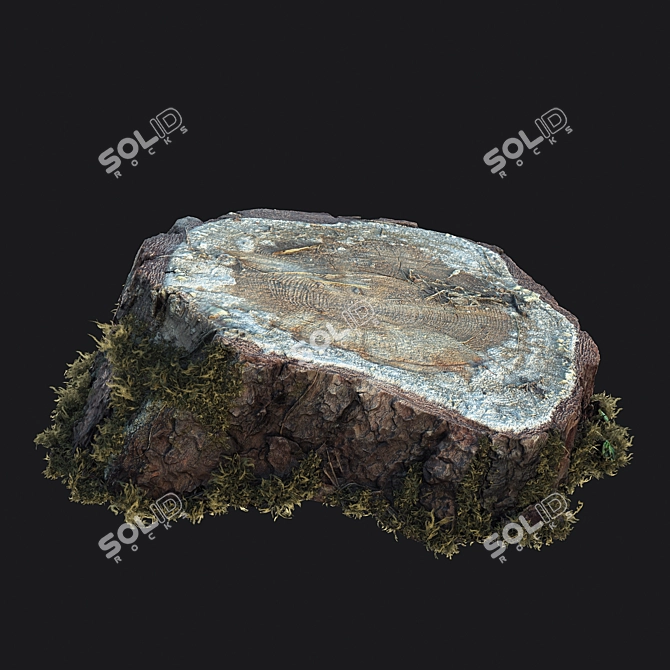 Mossy Photogrammetry Stump 3D model image 1