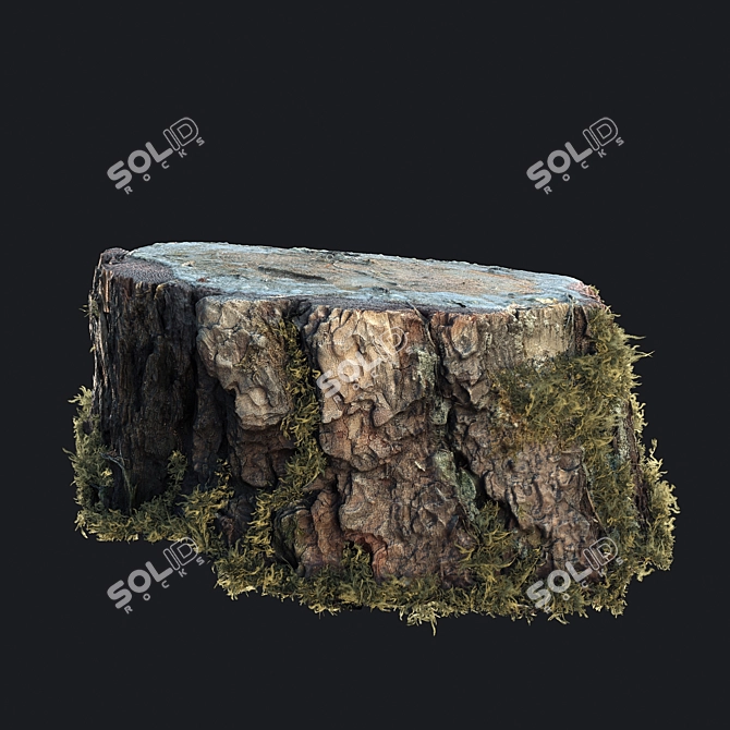 Mossy Photogrammetry Stump 3D model image 2