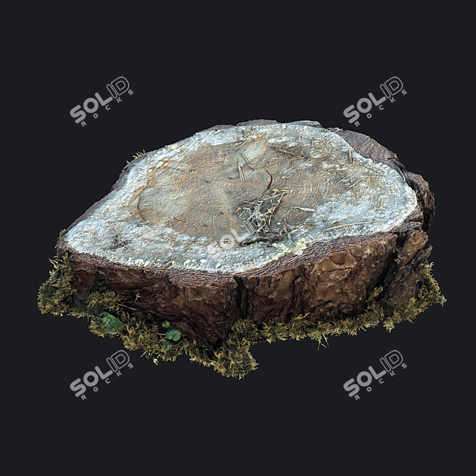 Mossy Photogrammetry Stump 3D model image 4