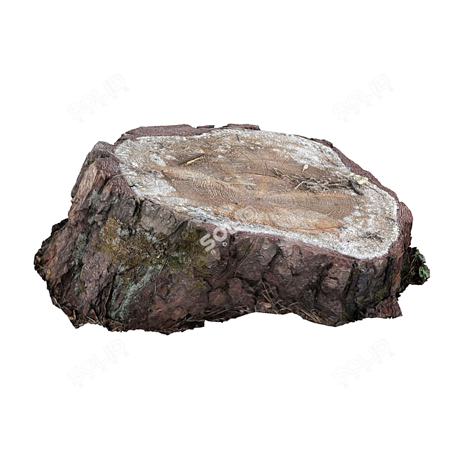 Mossy Photogrammetry Stump 3D model image 8