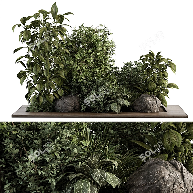 Tropical Oasis: Outdoor Plant Set 3D model image 1