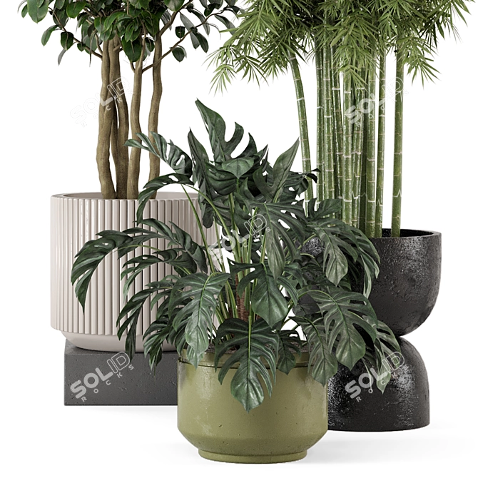 Rusty Concrete Pot Indoor Plant Set 3D model image 3