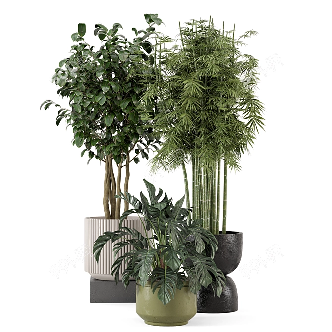 Rusty Concrete Pot Indoor Plant Set 3D model image 6