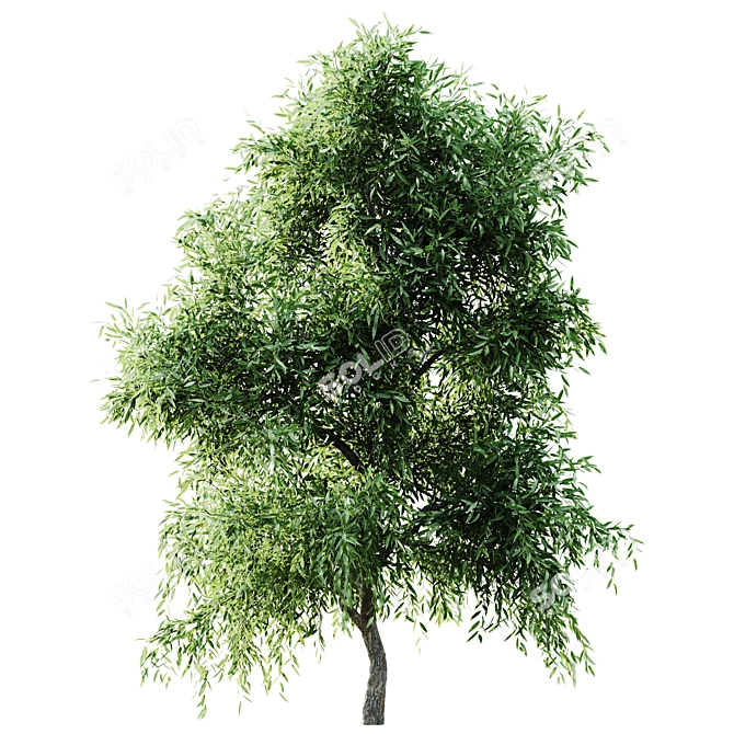 Versatile 2015 Tree Set 3D model image 2