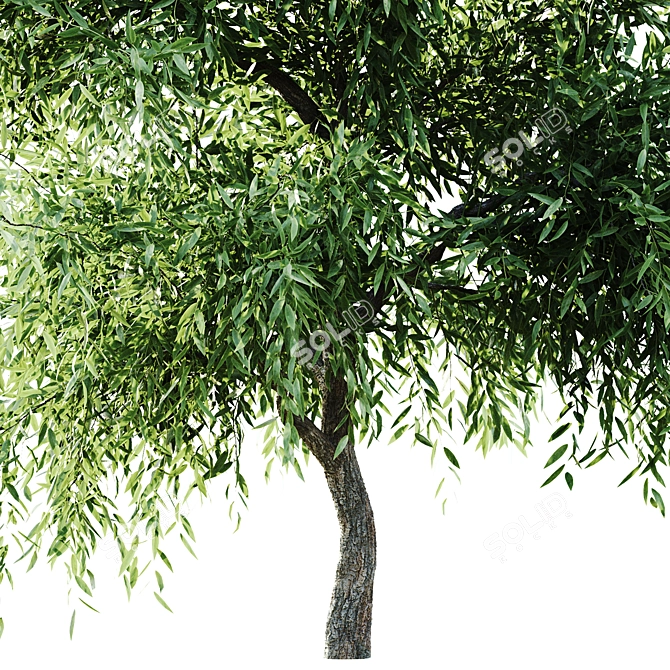 Versatile 2015 Tree Set 3D model image 4