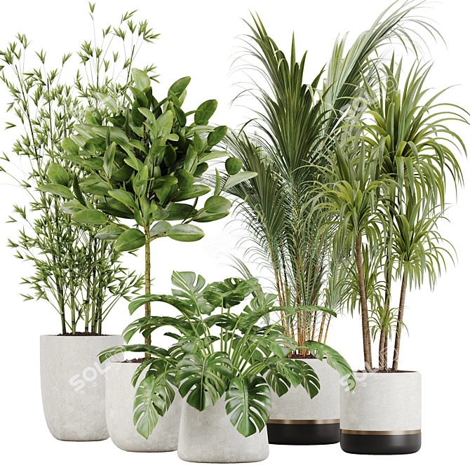 Tropical Paradise: Indoor Plant Set 3D model image 1