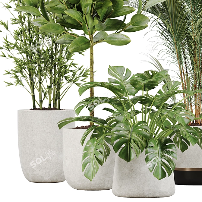 Tropical Paradise: Indoor Plant Set 3D model image 2
