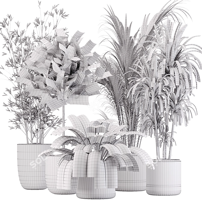 Tropical Paradise: Indoor Plant Set 3D model image 7