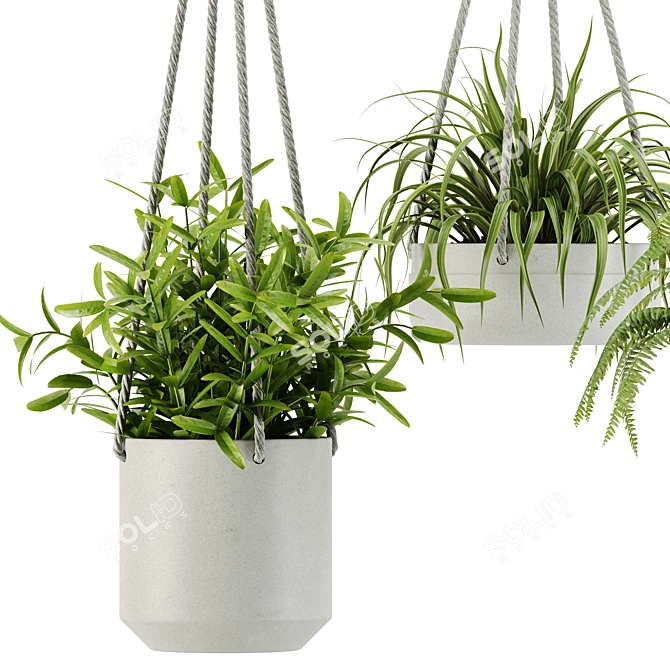 28-Plant Indoor Set: Green Up Your Space 3D model image 3