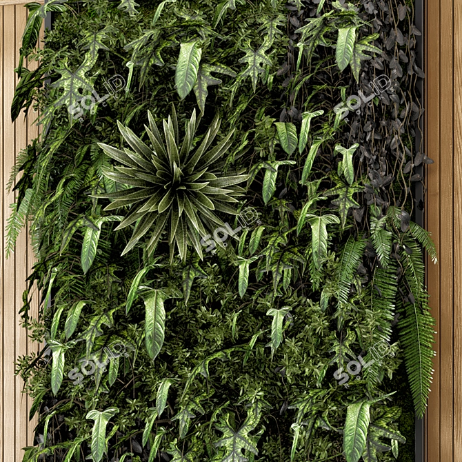 Wooden Base Vertical Garden - Set 581 3D model image 5