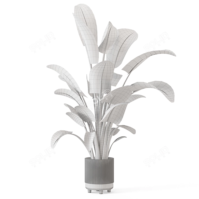 Rustic Concrete Pot Set with Indoor Plants 3D model image 7