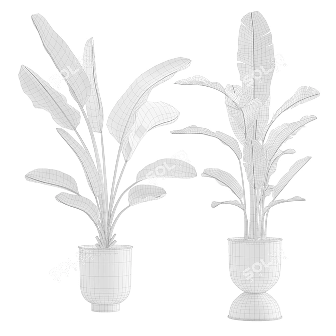 Tropical Bliss: Strelitzia Duo 3D model image 3