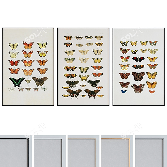 Butterfly Frame Set 508 - Set of 3 Modern Style Picture Frames with Illustrations 3D model image 1
