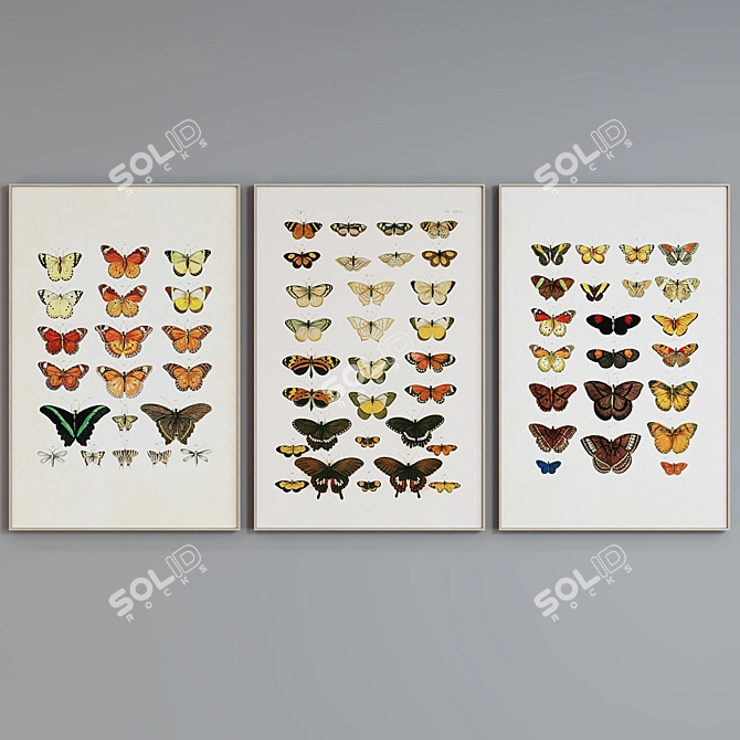 Butterfly Frame Set 508 - Set of 3 Modern Style Picture Frames with Illustrations 3D model image 4