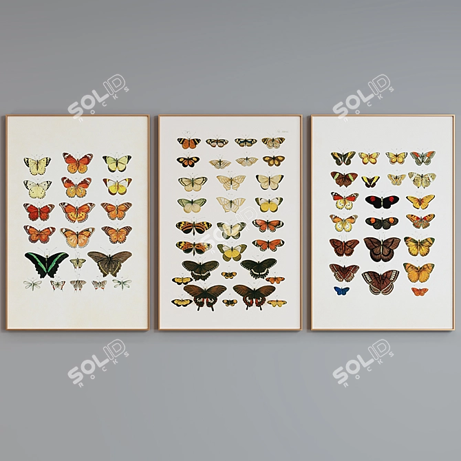 Butterfly Frame Set 508 - Set of 3 Modern Style Picture Frames with Illustrations 3D model image 5