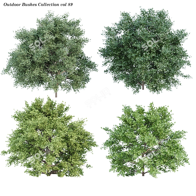 Nature's Oasis Bush Collection 3D model image 1