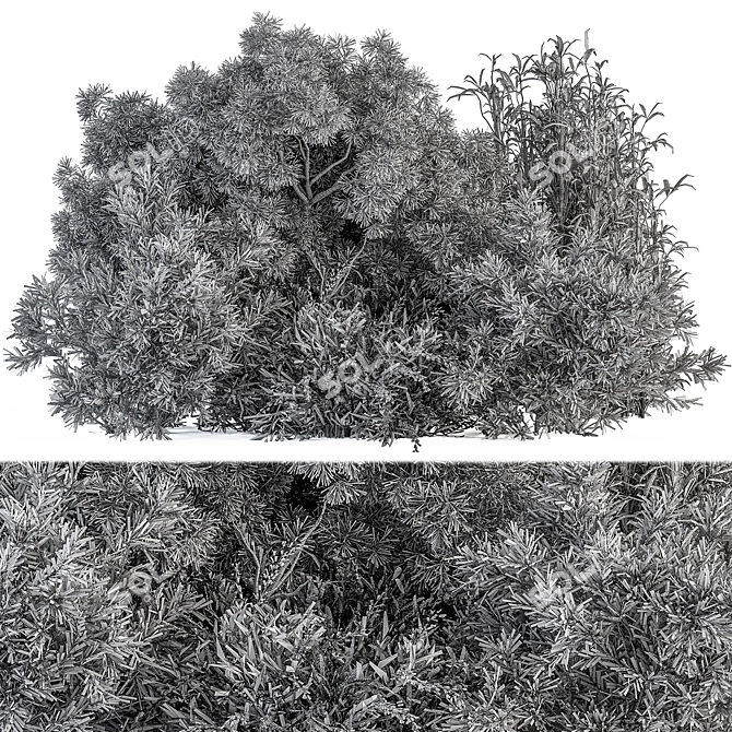 Gorgeous Mixed Plant Bush Set 3D model image 4