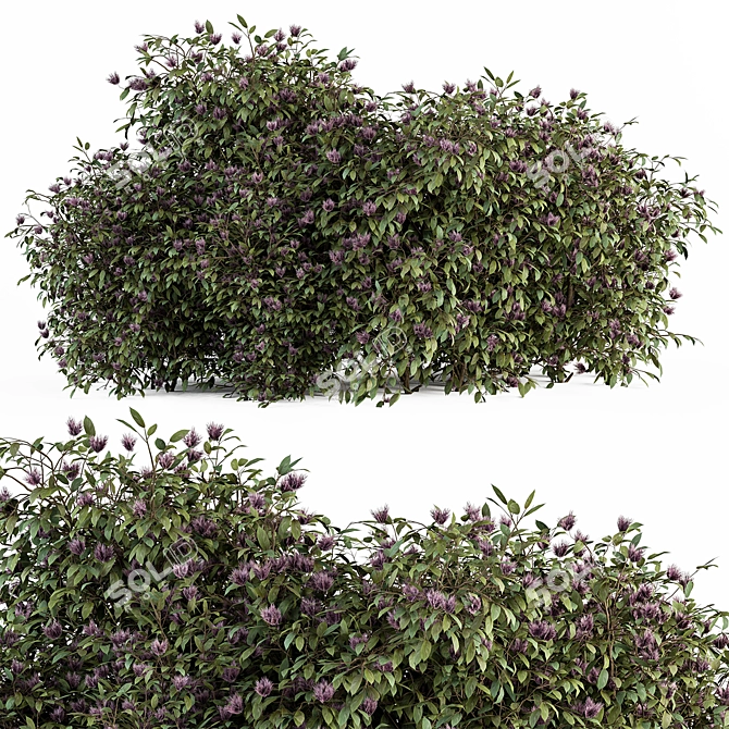 Spring Blossom Bush - Green/Purple 3D model image 1