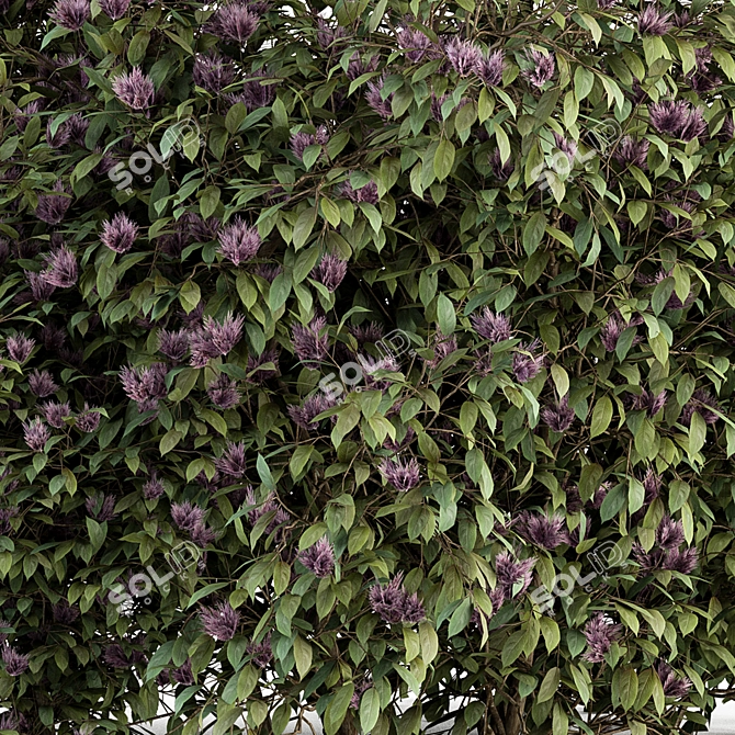 Spring Blossom Bush - Green/Purple 3D model image 4