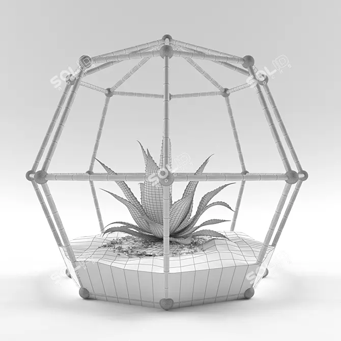 Modern Florarium Decoration 3D model image 2