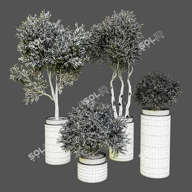 Indoor Plant Collection: 54 3D model image 3