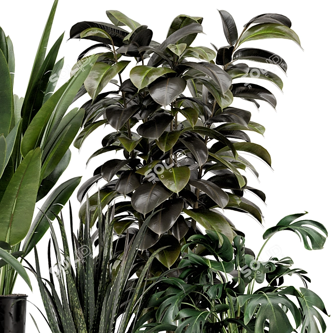 Indoor Plant Set: Ferm Living Bau Pot 3D model image 2
