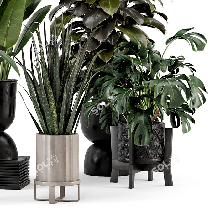 Indoor Plant Set: Ferm Living Bau Pot 3D model image 3