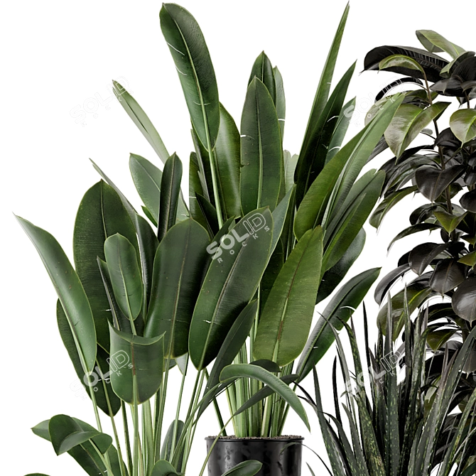 Indoor Plant Set: Ferm Living Bau Pot 3D model image 5