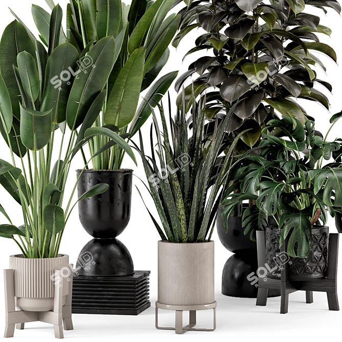 Indoor Plant Set: Ferm Living Bau Pot 3D model image 6