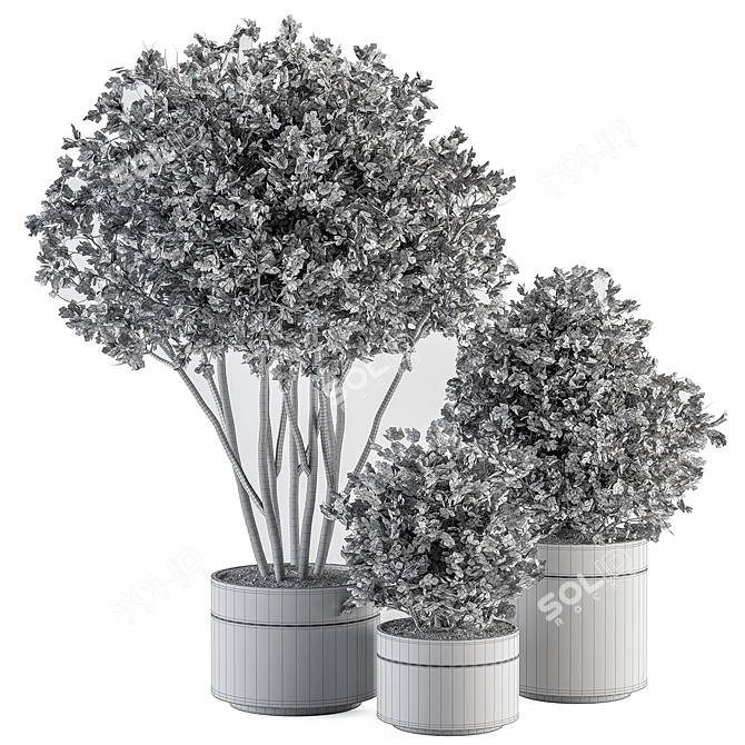 indoor Plant Set 375- Tree and Plant Set in pot 3D model image 4