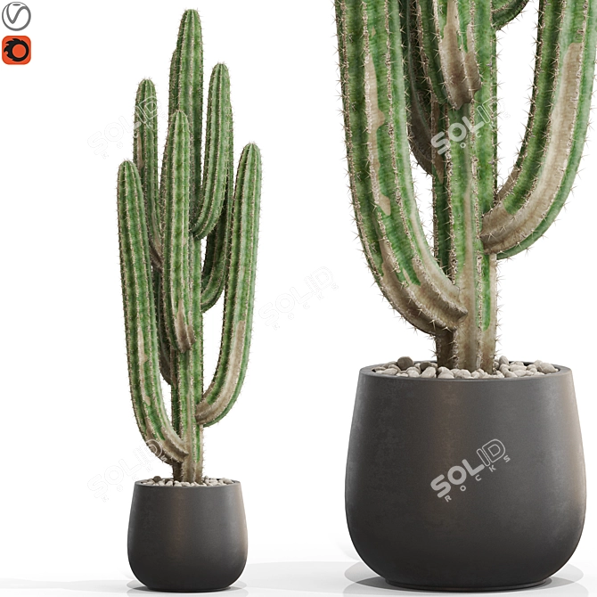 Greenery Assortment 694 Eco Display 3D model image 1