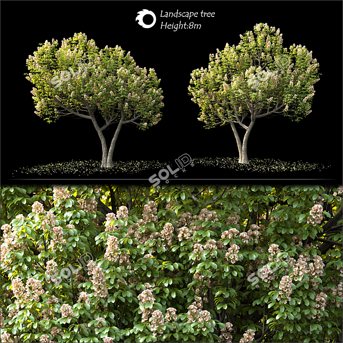 Corona Render 3D Landscape Tree 3D model image 2