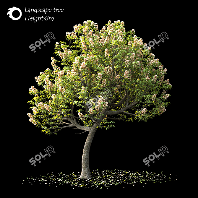 2014 Landscape Tree 8m Render 3D model image 1