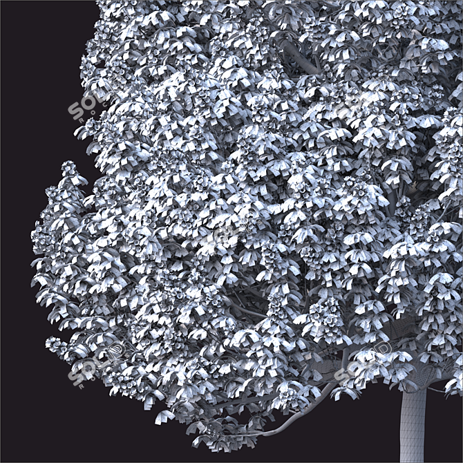 2014 Landscape Tree 8m Render 3D model image 3