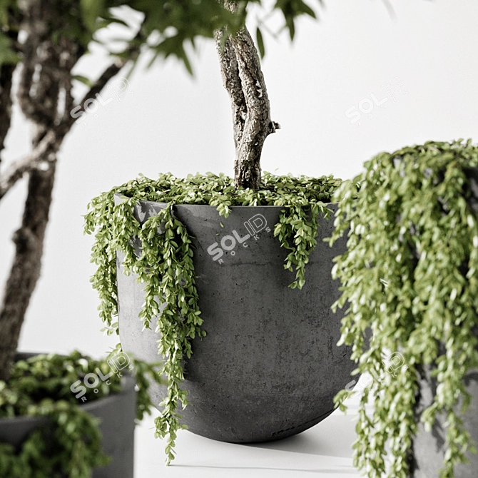 Whimsical Indoor Plant Sculpture 3D model image 2