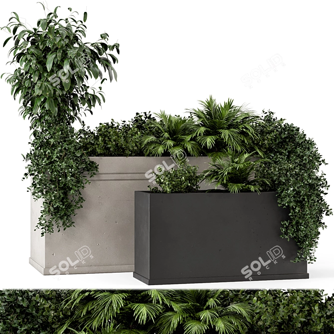 Rusty Concrete Pot Outdoor Plants 3D model image 2