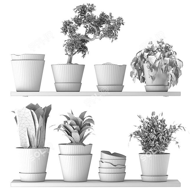 Modern Indoor Plant Collection Nim07 3D model image 3