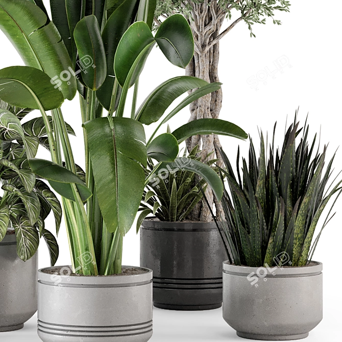 Rusty Concrete Pot Indoor Plants 3D model image 4