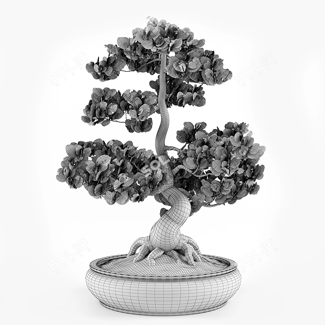 Miniature Bonsai Tree Replica 3D model image 6