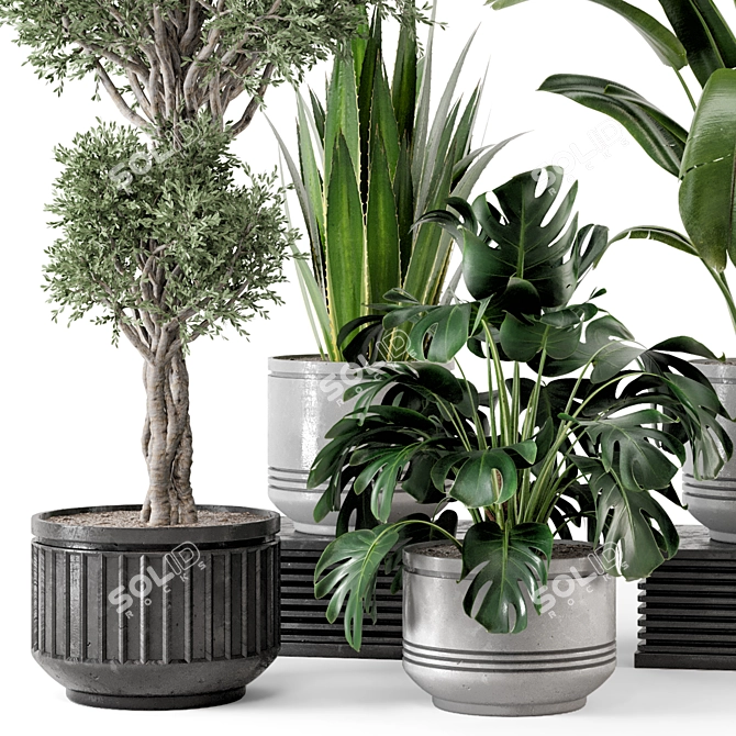 Rusty Concrete Pot Indoor Plants 3D model image 2