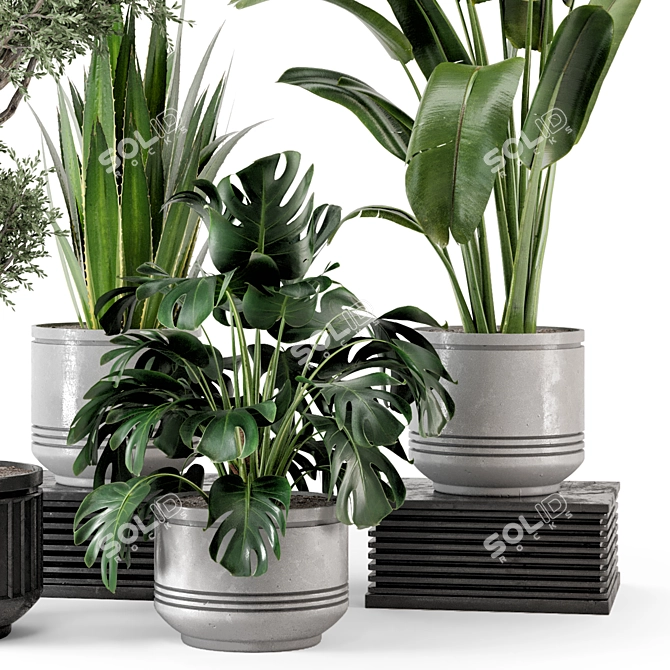 Rusty Concrete Pot Indoor Plants 3D model image 4