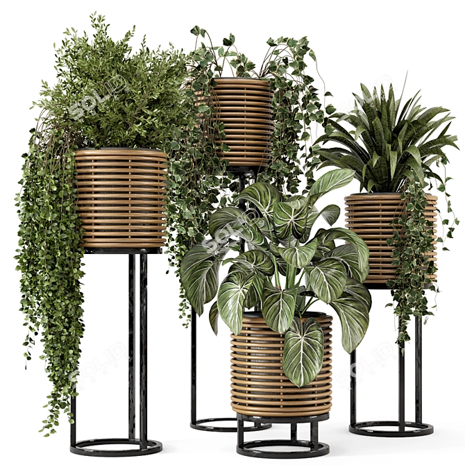 Rattan Pot Indoor Plants Set 3D model image 1