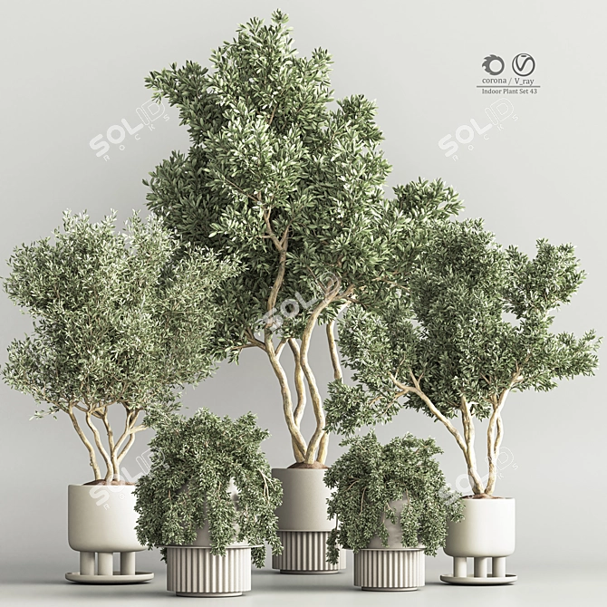 Modern Indoor Plant Set 3D 3D model image 1