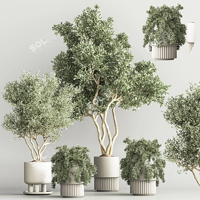 Modern Indoor Plant Set 3D 3D model image 2