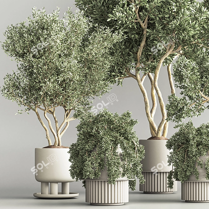 Modern Indoor Plant Set 3D 3D model image 4