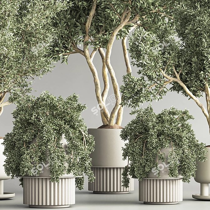 Modern Indoor Plant Set 3D 3D model image 5