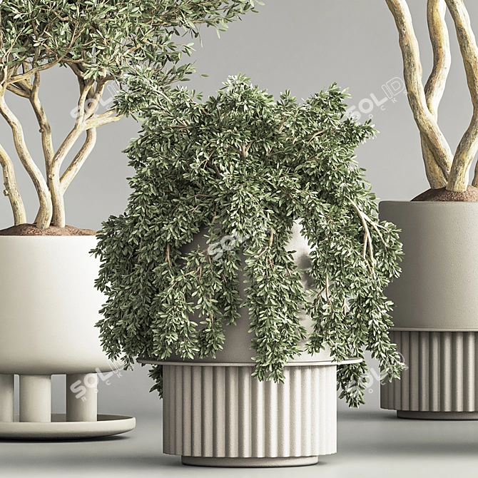 Modern Indoor Plant Set 3D 3D model image 6