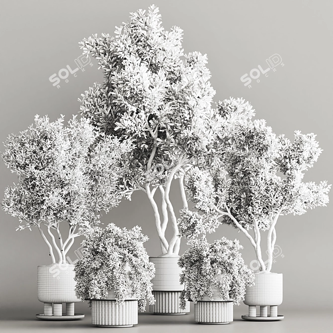 Modern Indoor Plant Set 3D 3D model image 7