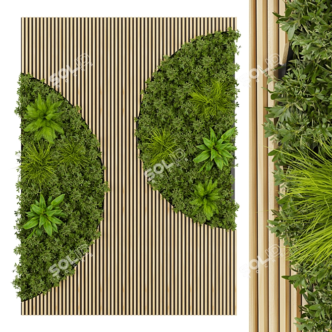 Premium Plant Collection 331: Fitowall Leaf 3D model image 1
